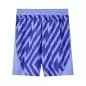 Preview: Switzerland Goalkeeper Children EC Shorts blue - 2024-25